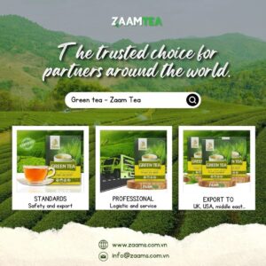 ZAAM Green Tea - No Sugar, Zero Calories 500g - Authentic Taste Experience