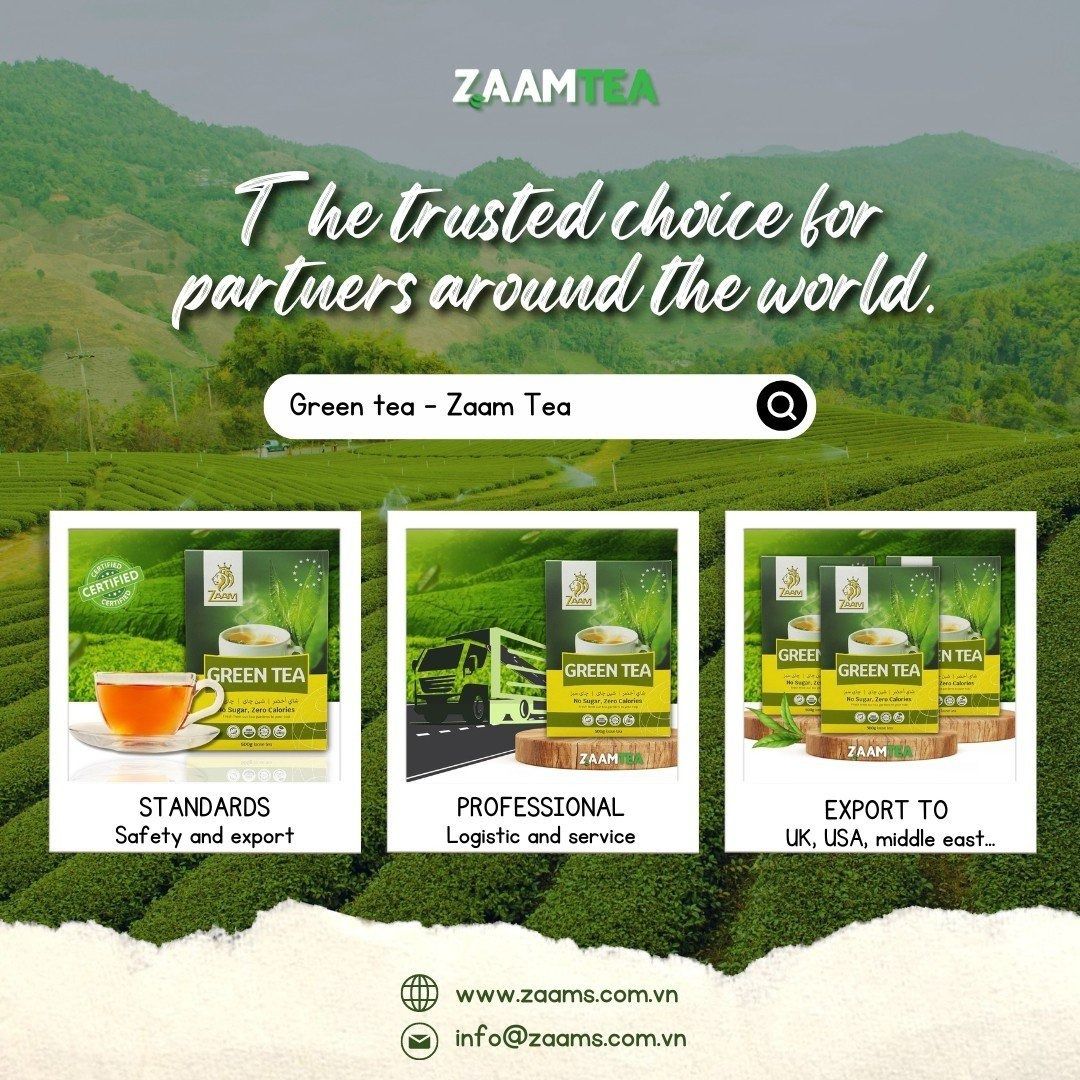 ZAAM Green Tea - No Sugar, Zero Calories 500g - Authentic Taste Experience