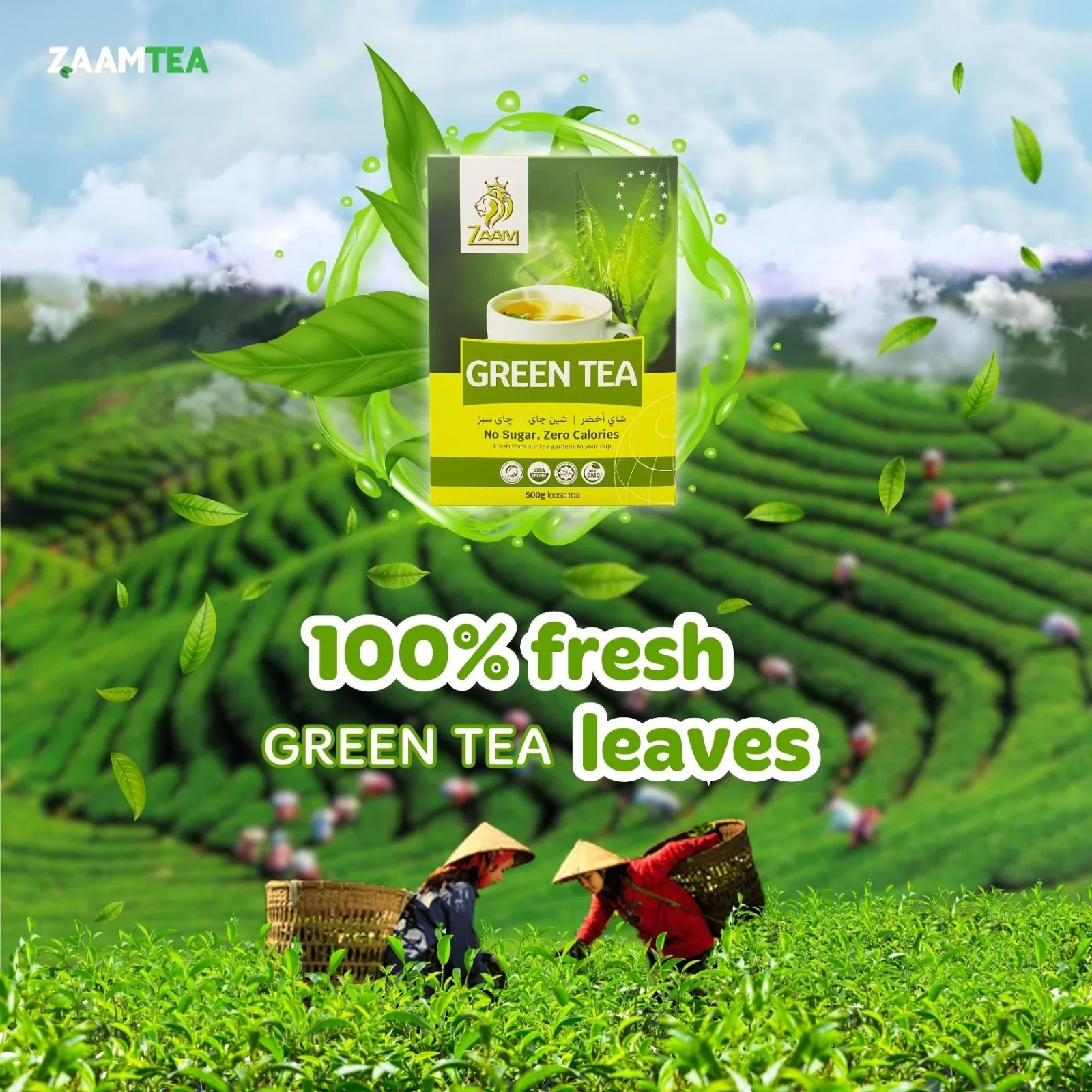 ZAAM Green Tea - No Sugar, Zero Calories 500g - Authentic Taste Experience - Image 4